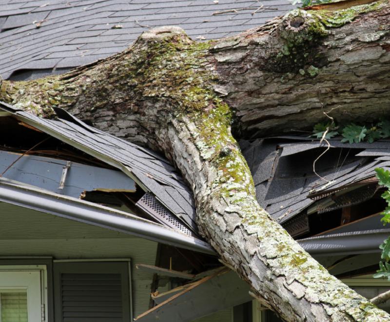 Reinforce Your Roof