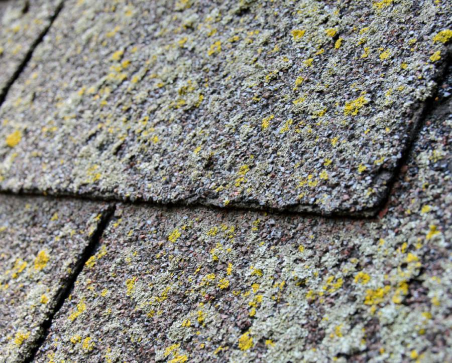 Is Your Roof Damaged by Storms or Just Old_